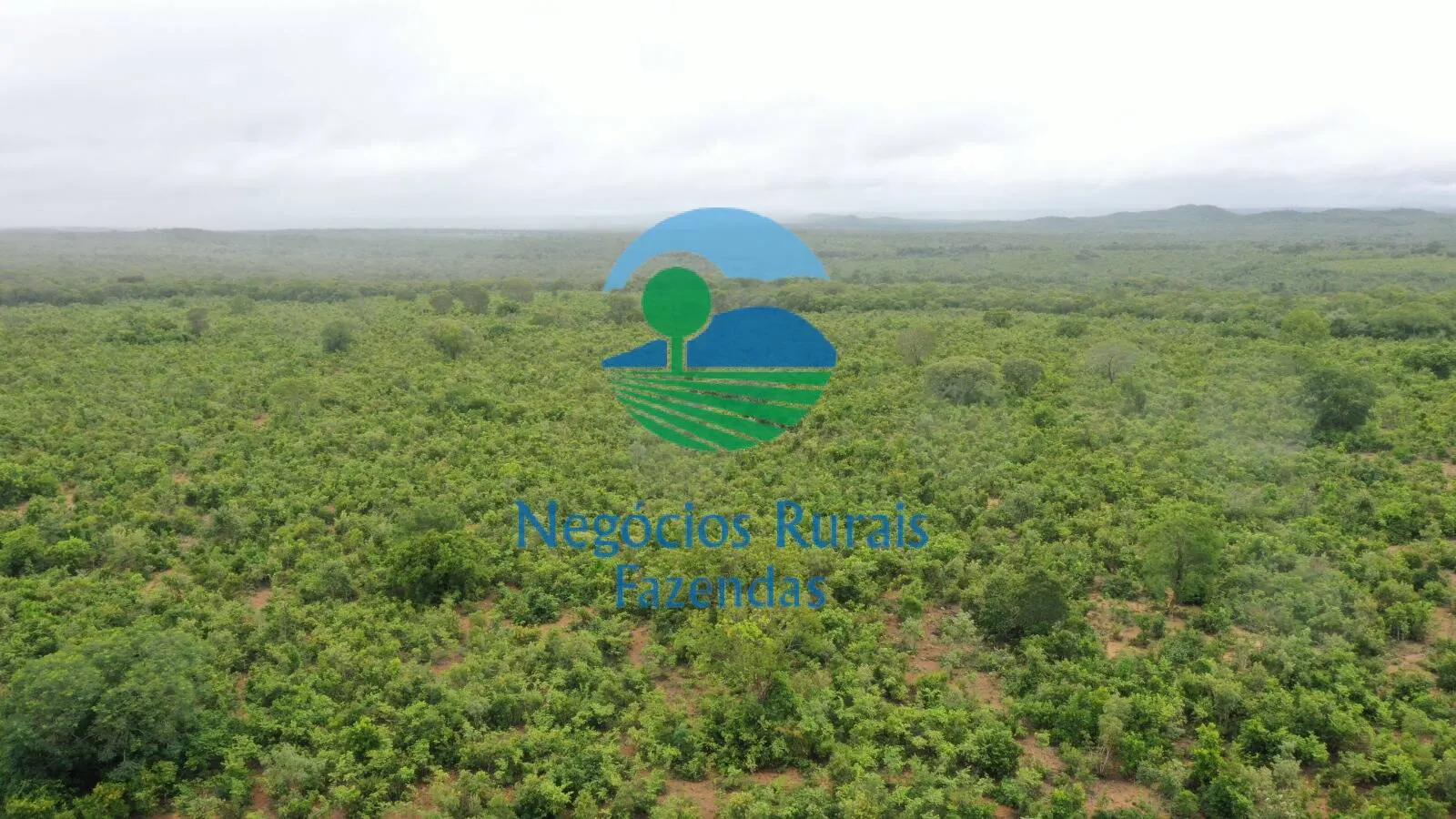 Fazenda à venda e para Arrendar de 1.258 ha em Peixe, TO, Brasil