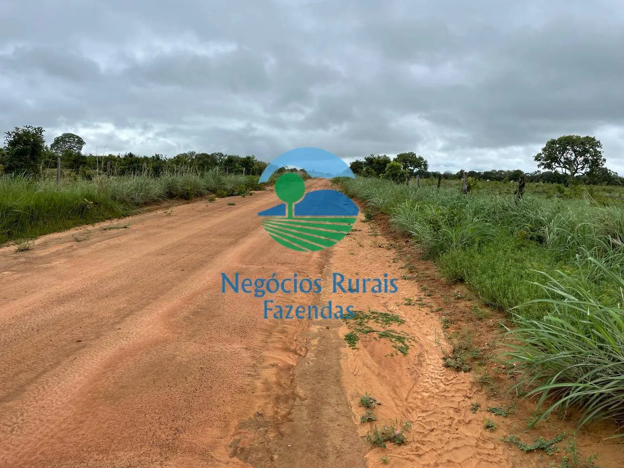 Fazenda à venda e para Arrendar de 1.258 ha em Peixe, TO, Brasil