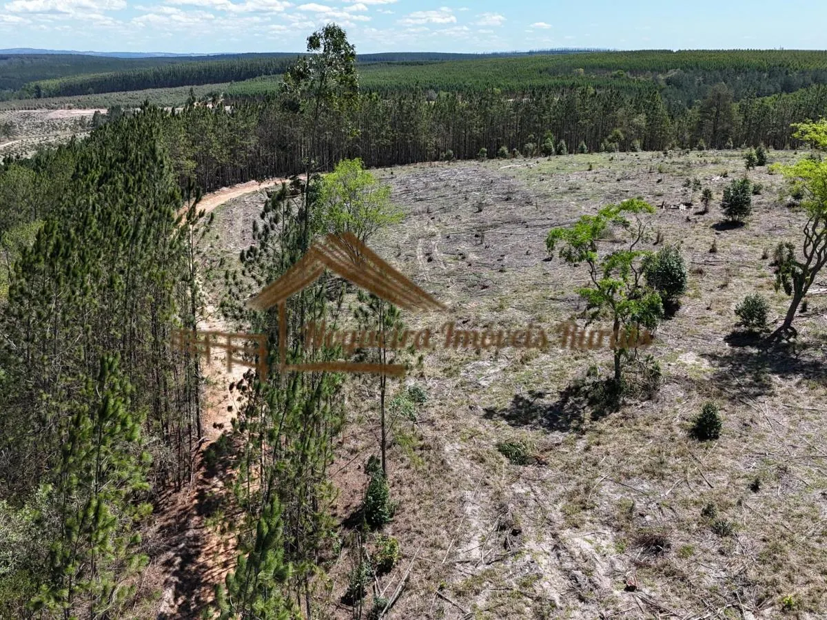 Fazenda à venda de 290 ha em Bofete, SP, Brasil