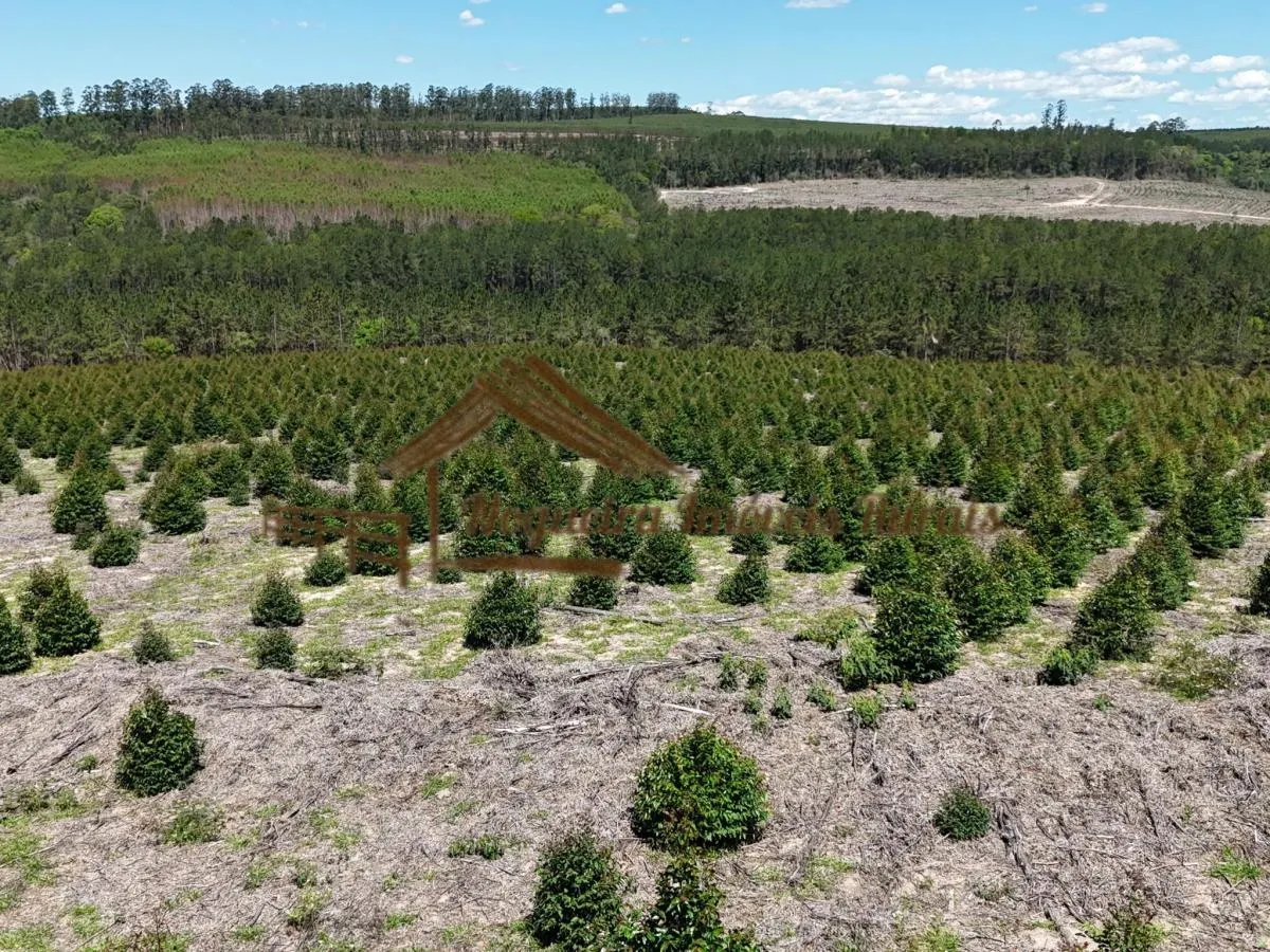 Fazenda à venda de 290 ha em Bofete, SP, Brasil