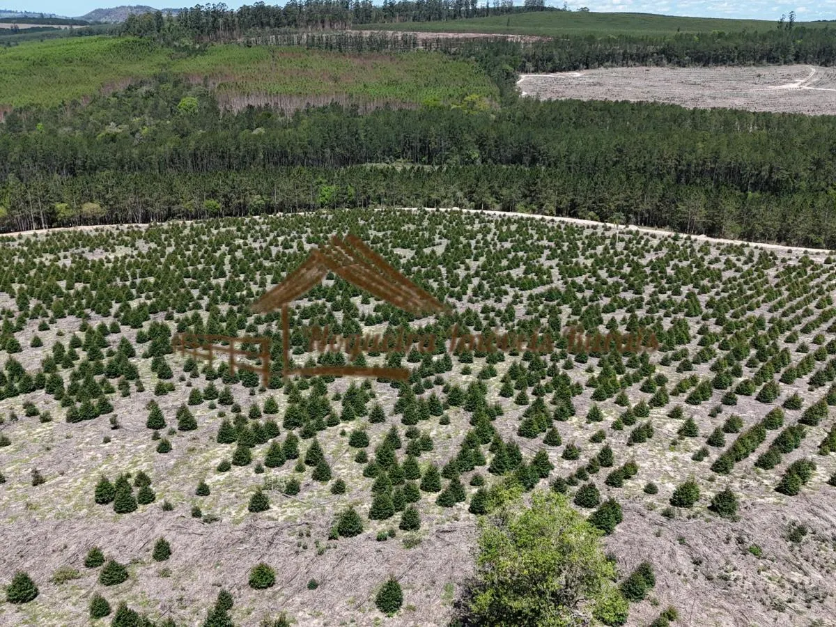 Fazenda à venda de 290 ha em Bofete, SP, Brasil
