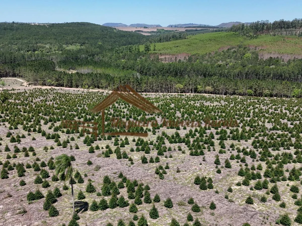 Fazenda à venda de 290 ha em Bofete, SP, Brasil