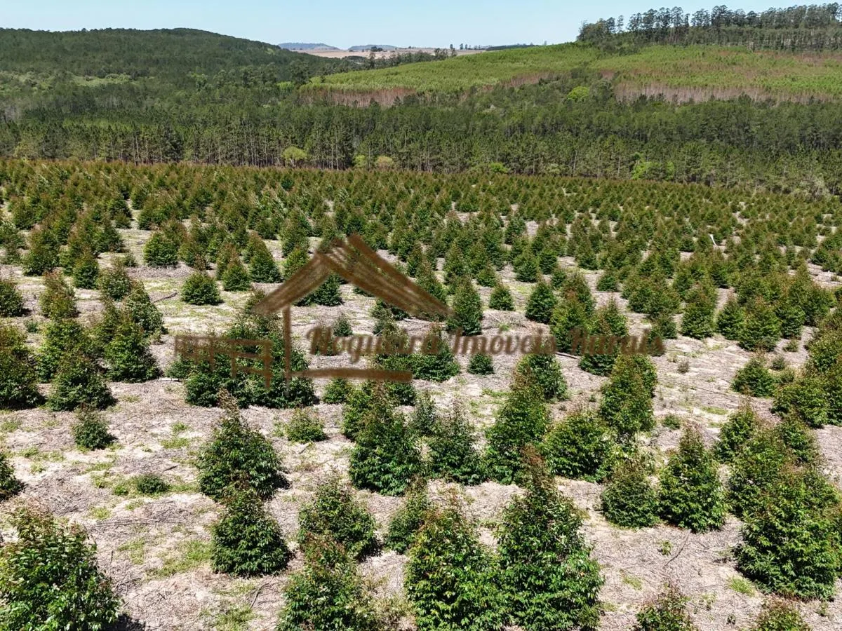 Fazenda à venda de 290 ha em Bofete, SP, Brasil