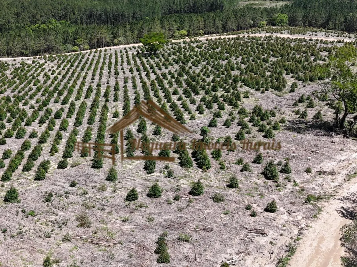 Fazenda à venda de 290 ha em Bofete, SP, Brasil