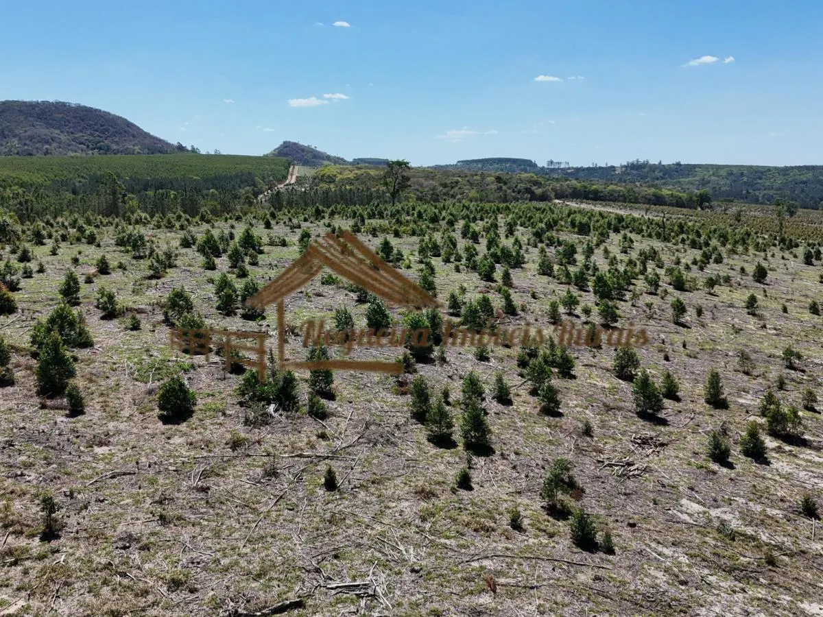 Fazenda à venda de 290 ha em Bofete, SP, Brasil