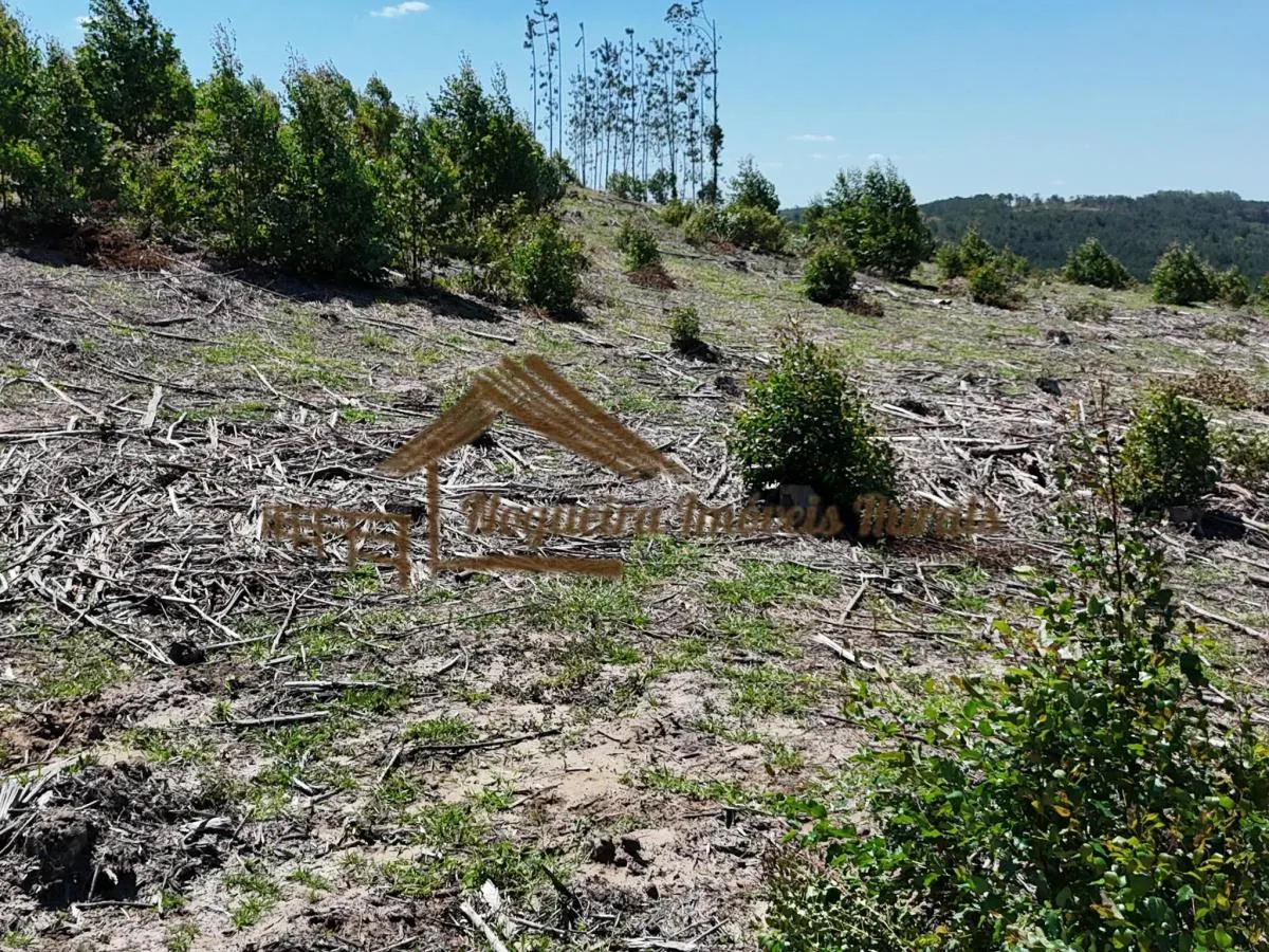 Fazenda à venda de 290 ha em Bofete, SP, Brasil
