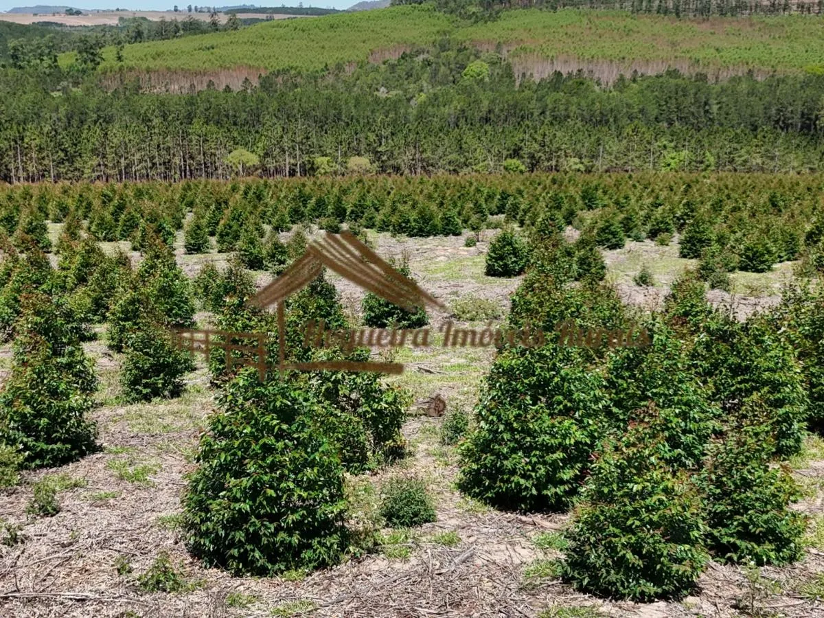Fazenda à venda de 290 ha em Bofete, SP, Brasil