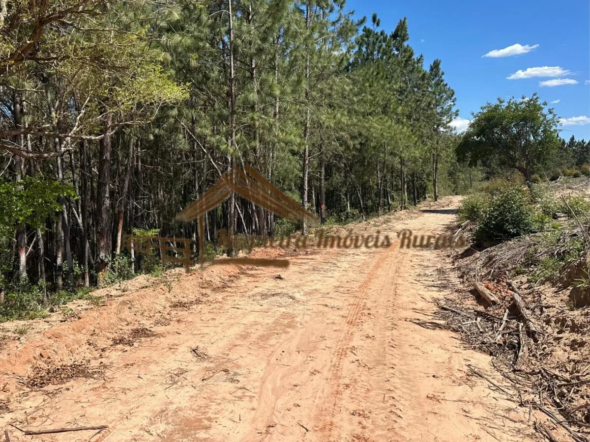 Fazenda à venda de 290 ha em Bofete, SP, Brasil