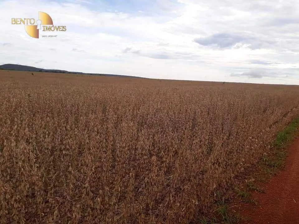 Fazenda à venda de 7.725 ha em Rosário Oeste, MT, Brasil