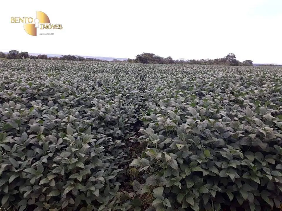 Fazenda à venda de 7.725 ha em Rosário Oeste, MT, Brasil