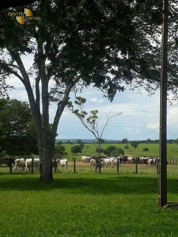 Fazenda à venda de 7.725 ha em Rosário Oeste, MT, Brasil