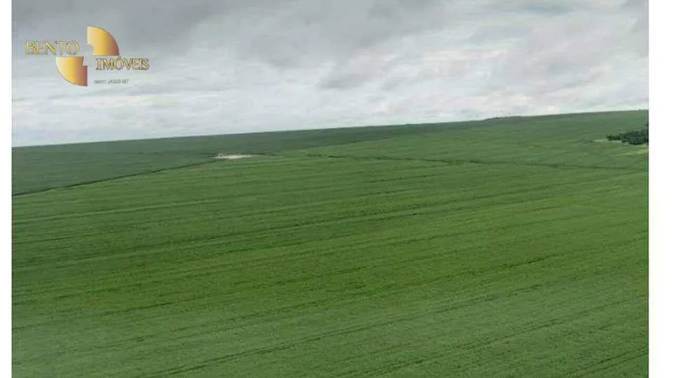 Fazenda à venda de 7.725 ha em Rosário Oeste, MT, Brasil
