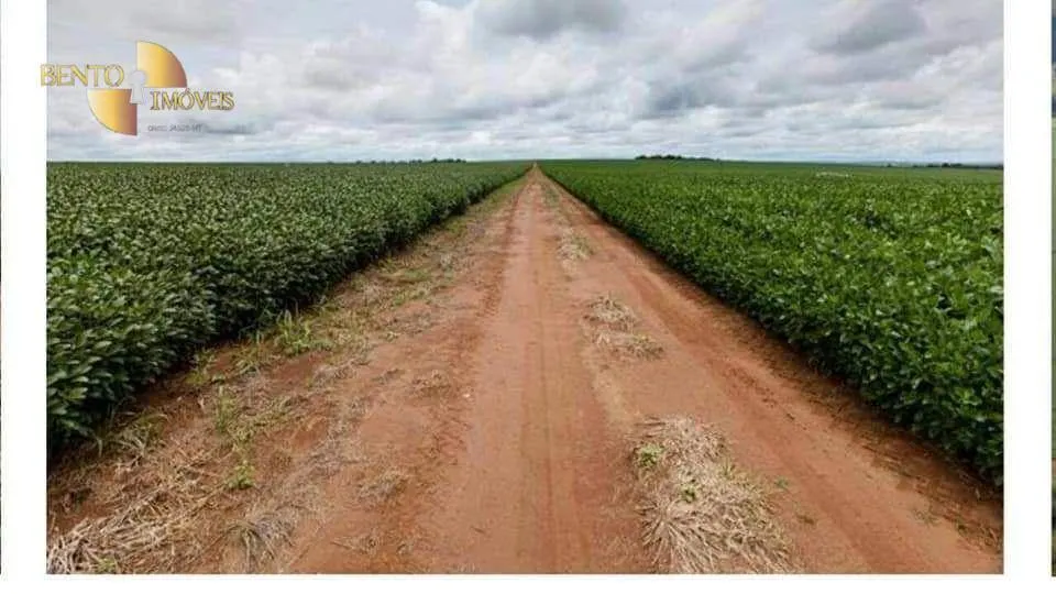 Fazenda à venda de 7.725 ha em Rosário Oeste, MT, Brasil