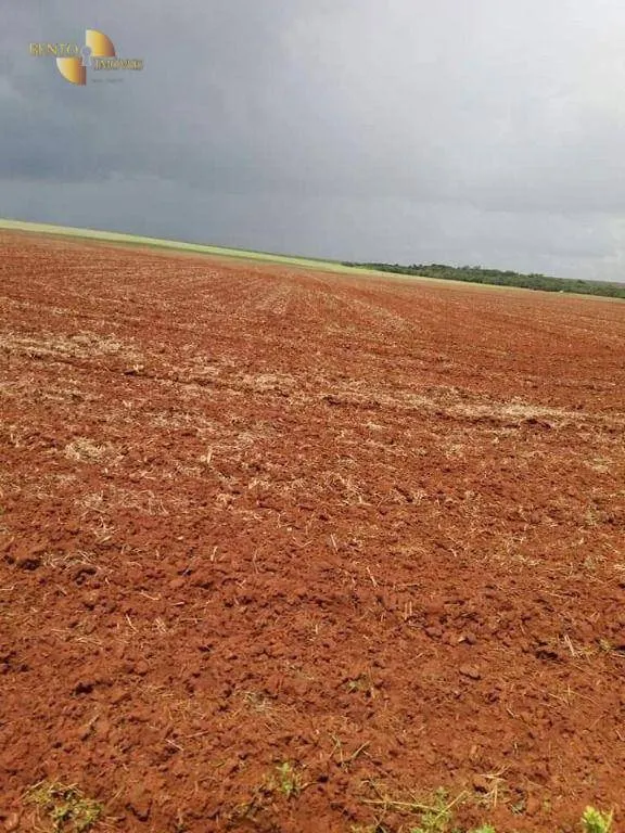 Fazenda à venda de 7.725 ha em Rosário Oeste, MT, Brasil