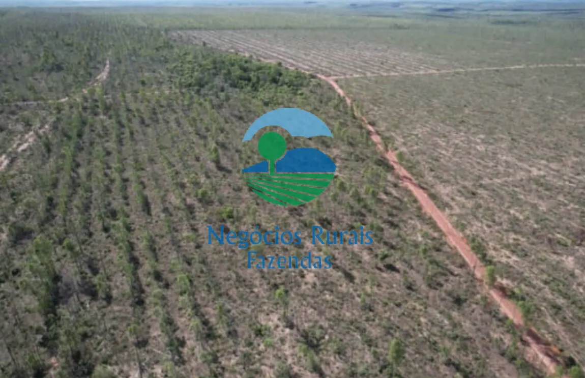 Fazenda à venda de 2.613 ha em Palmas, TO, Brasil