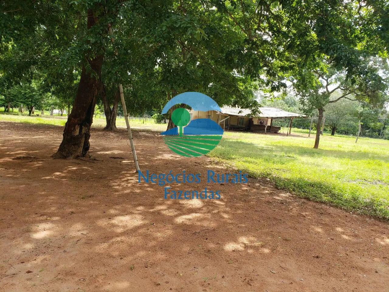 Fazenda à venda de 2.613 ha em Palmas, TO, Brasil