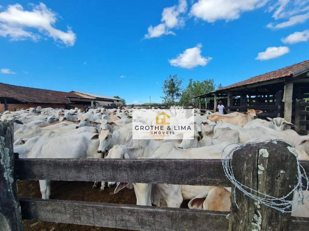 Farm for sale of 59 acres in Araruama, RJ, Brazil