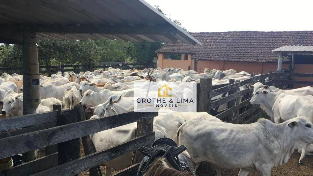 Farm for sale of 59 acres in Araruama, RJ, Brazil