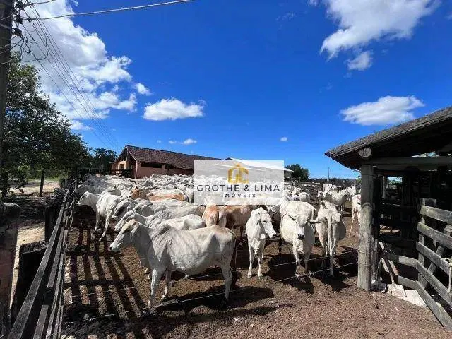 Farm for sale of 59 acres in Araruama, RJ, Brazil