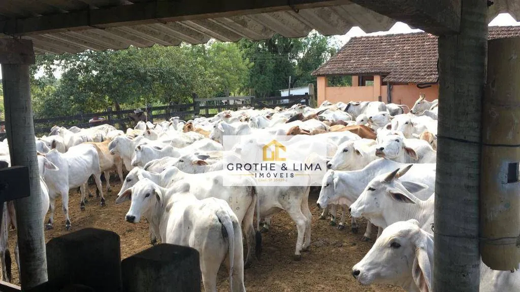 Farm for sale of 59 acres in Araruama, RJ, Brazil