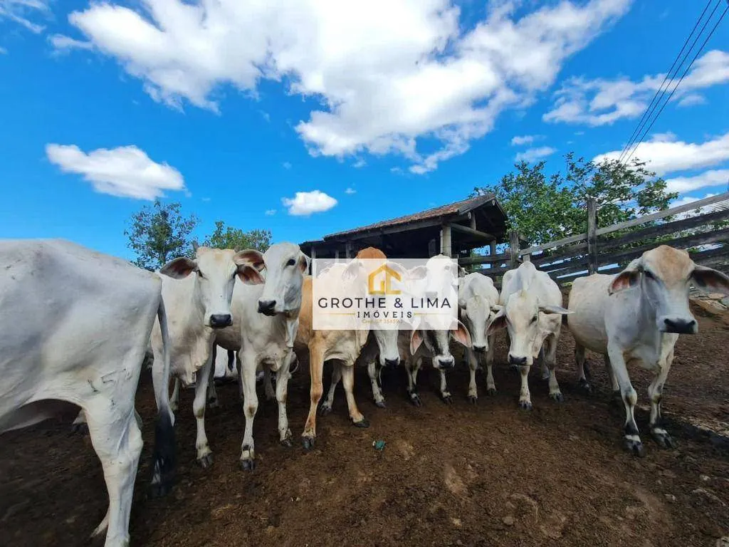 Farm for sale of 59 acres in Araruama, RJ, Brazil