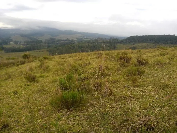 Sítio à venda de 12 ha em Santo Antônio da Patrulha, RS, Brasil