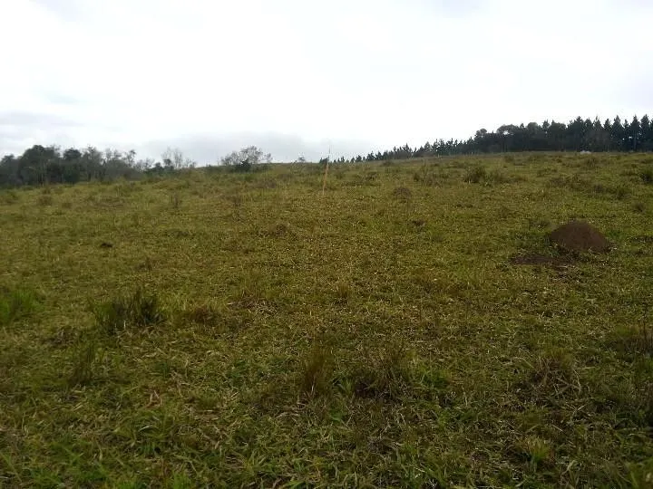 Sítio à venda de 12 ha em Santo Antônio da Patrulha, RS, Brasil