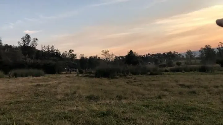 Sítio à venda de 12 ha em Santo Antônio da Patrulha, RS, Brasil