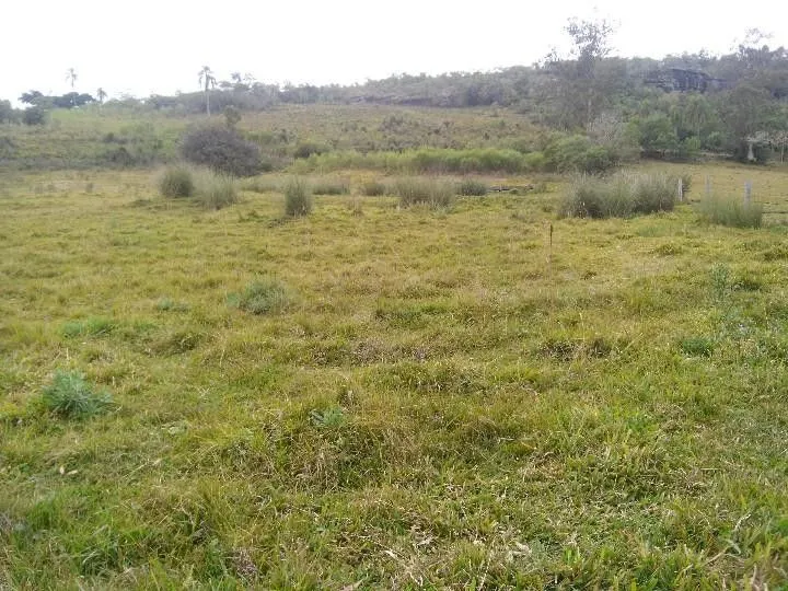 Sítio à venda de 12 ha em Santo Antônio da Patrulha, RS, Brasil