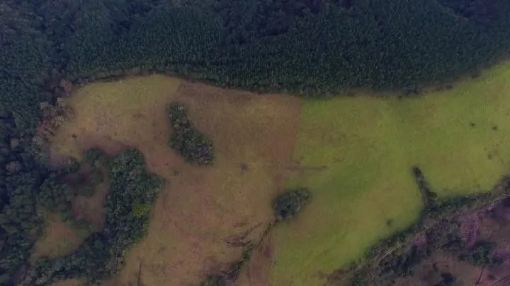 Sítio à venda de 12 ha em Santo Antônio da Patrulha, RS, Brasil