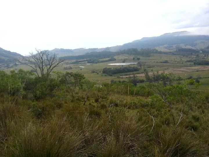 Sítio à venda de 12 ha em Santo Antônio da Patrulha, RS, Brasil
