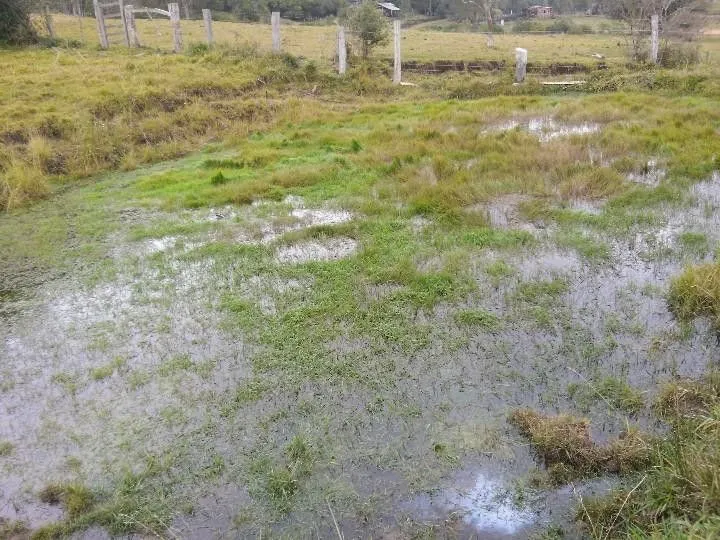 Sítio à venda de 12 ha em Santo Antônio da Patrulha, RS, Brasil