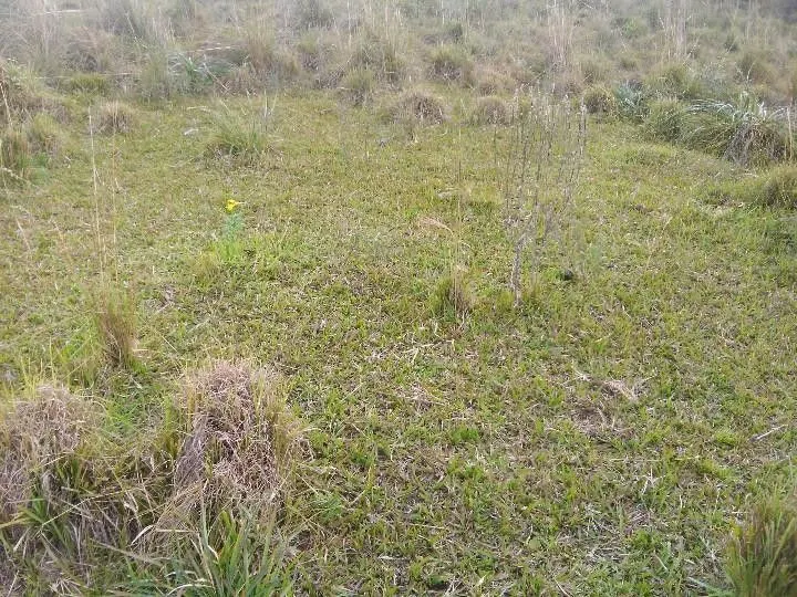 Sítio à venda de 12 ha em Santo Antônio da Patrulha, RS, Brasil