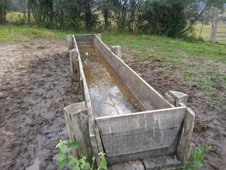 Sítio à venda de 12 ha em Santo Antônio da Patrulha, RS, Brasil