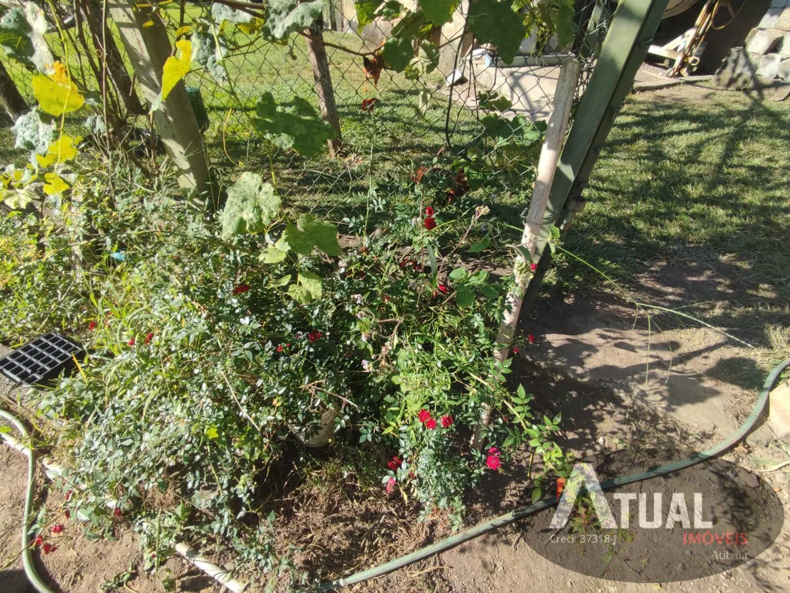 Chácara à venda de 2 ha em Atibaia, SP, Brasil