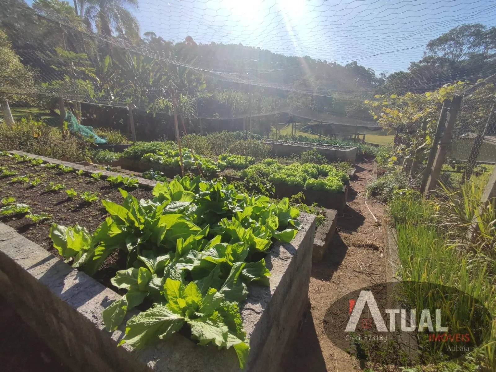 Chácara à venda de 2 ha em Atibaia, SP, Brasil