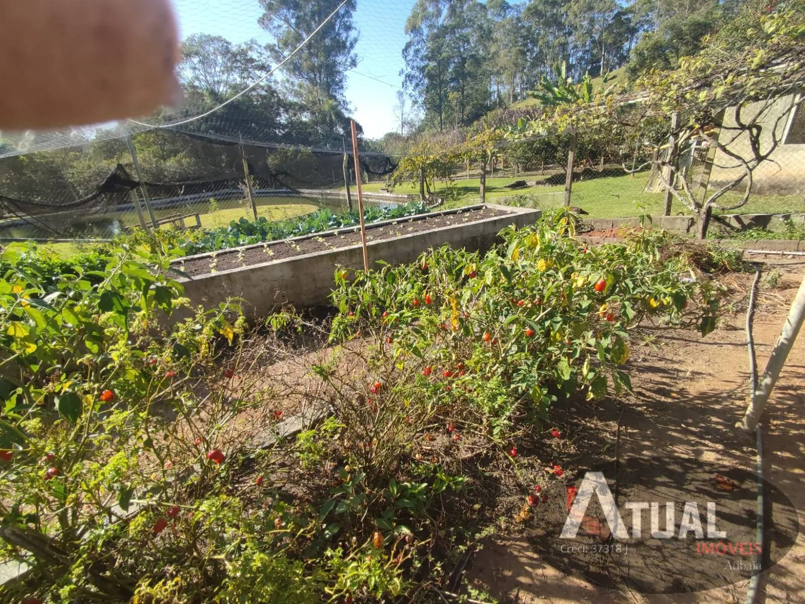 Chácara à venda de 2 ha em Atibaia, SP, Brasil