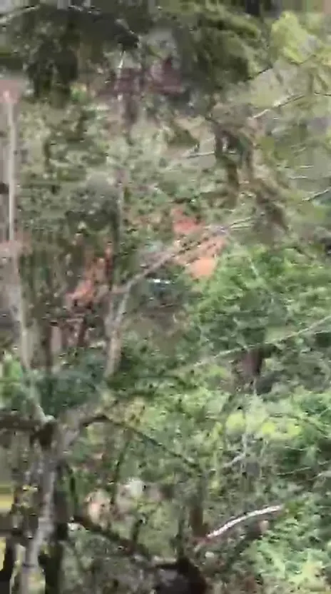 Sítio para Arrendar de 1 ha em Jaguaraçu, MG, Brasil