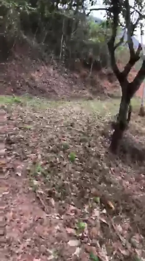 Sítio para Arrendar de 1 ha em Jaguaraçu, MG, Brasil