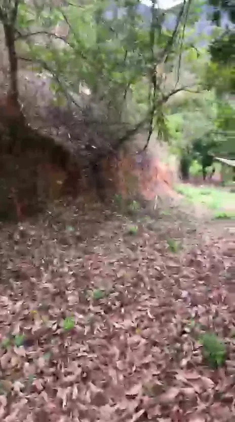 Sítio para Arrendar de 1 ha em Jaguaraçu, MG, Brasil