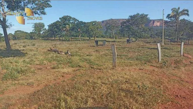 Fazenda à venda de 976 ha em Poxoréu, MT, Brasil