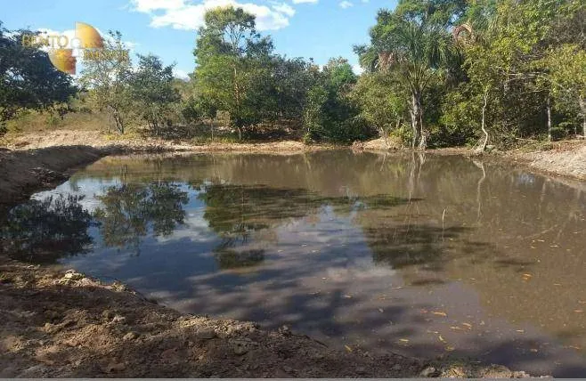 Fazenda à venda de 976 ha em Poxoréu, MT, Brasil