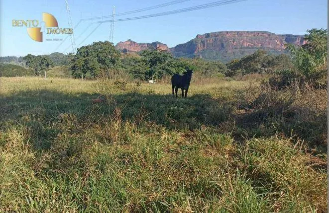 Fazenda à venda de 976 ha em Poxoréu, MT, Brasil