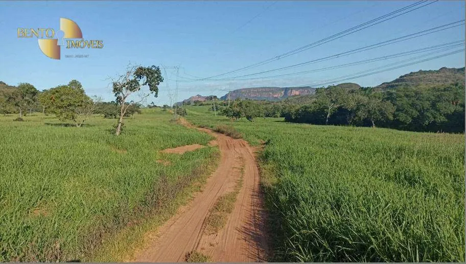 Fazenda à venda de 976 ha em Poxoréu, MT, Brasil