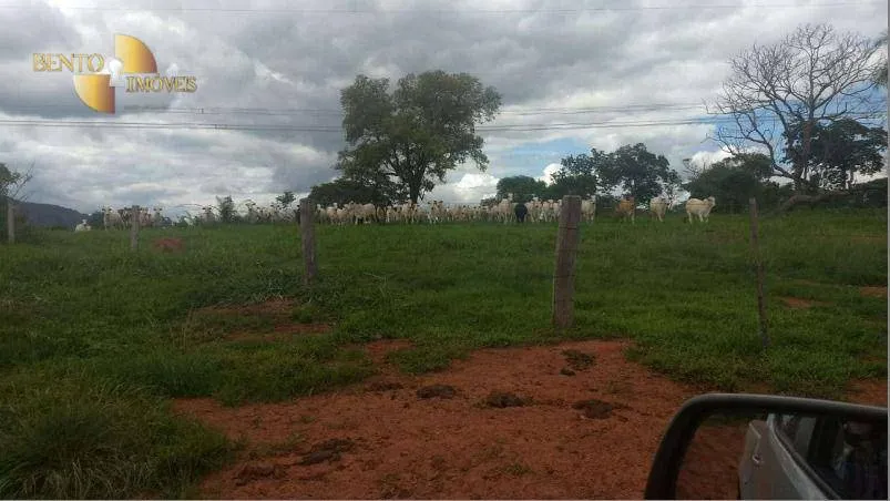 Fazenda à venda de 976 ha em Poxoréu, MT, Brasil