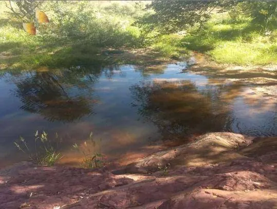 Fazenda à venda de 976 ha em Poxoréu, MT, Brasil