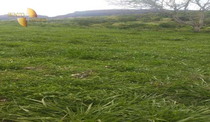 Fazenda à venda de 976 ha em Poxoréu, MT, Brasil