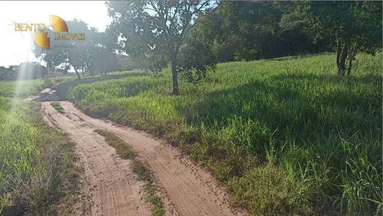 Fazenda à venda de 976 ha em Poxoréu, MT, Brasil
