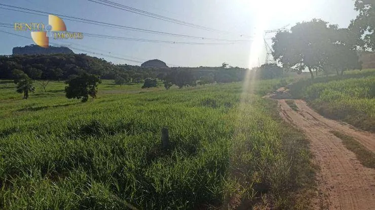 Fazenda à venda de 976 ha em Poxoréu, MT, Brasil