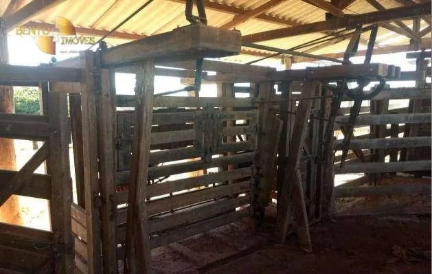 Fazenda à venda de 976 ha em Poxoréu, MT, Brasil
